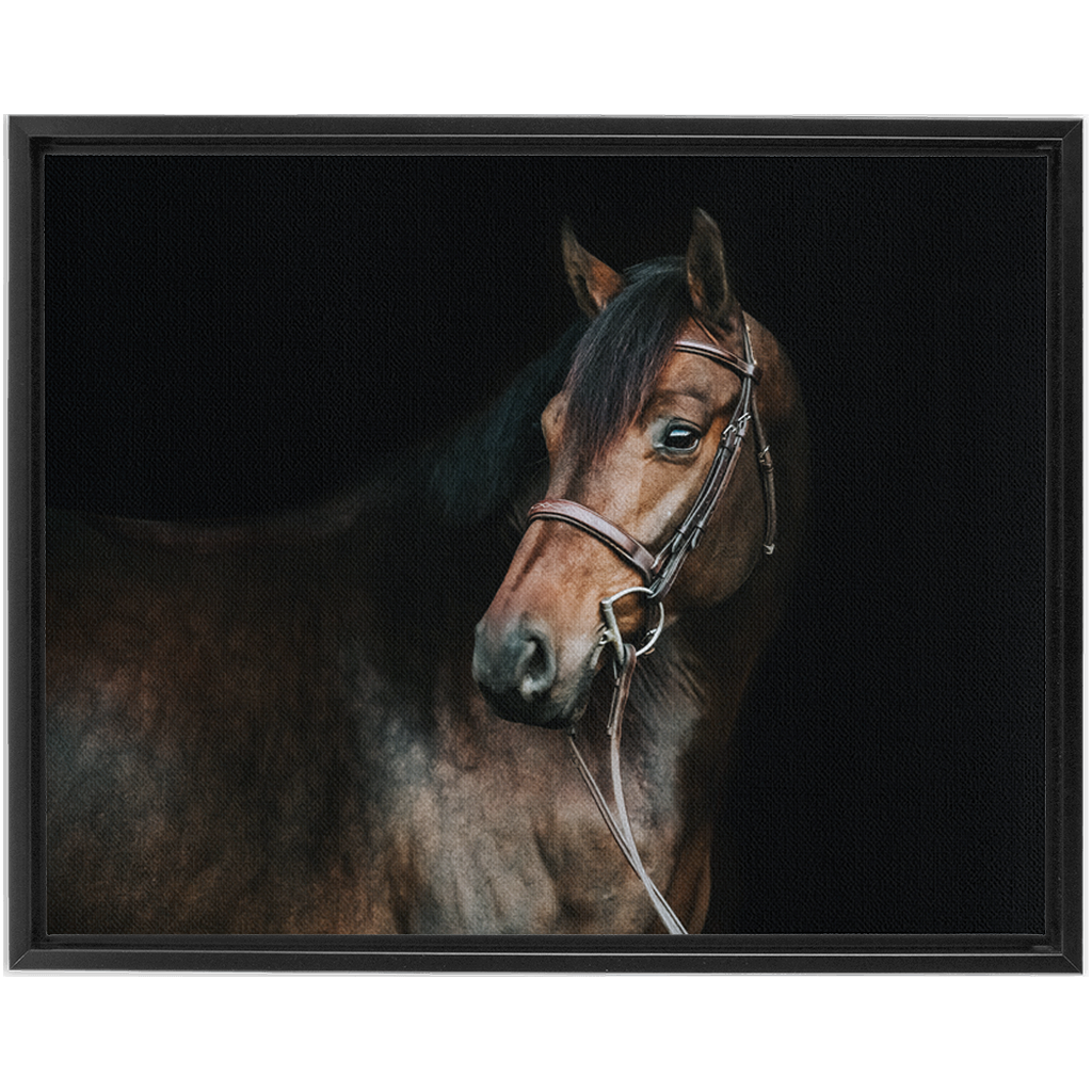Jovial Series 2, Framed Canvas
