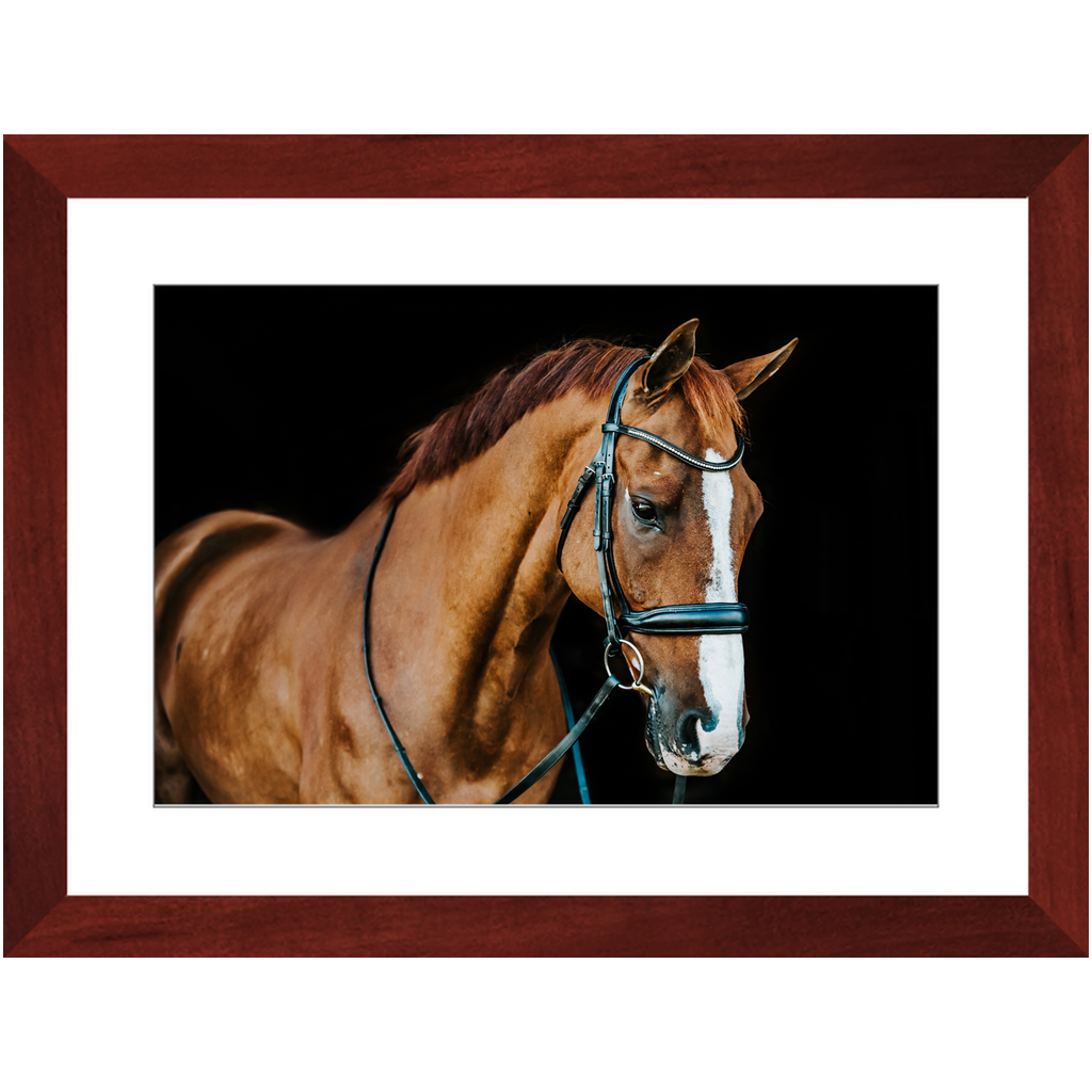 Hudson Series 1, Framed Print