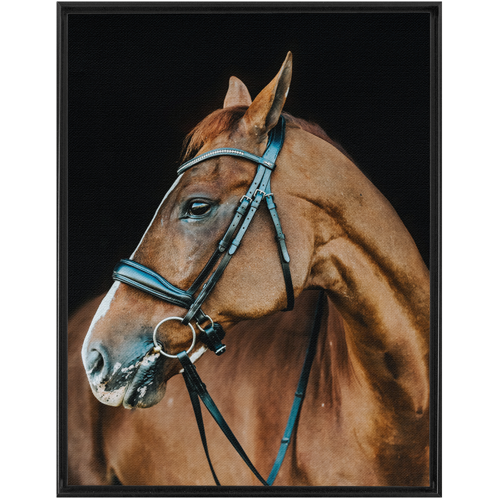 Hudson Series 6, Framed Canvas