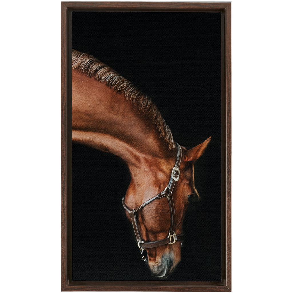 Django Series 6, Framed Canvas