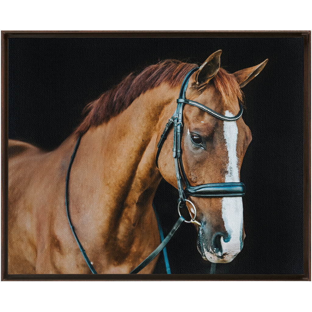 Hudson Series 1, Framed Canvas