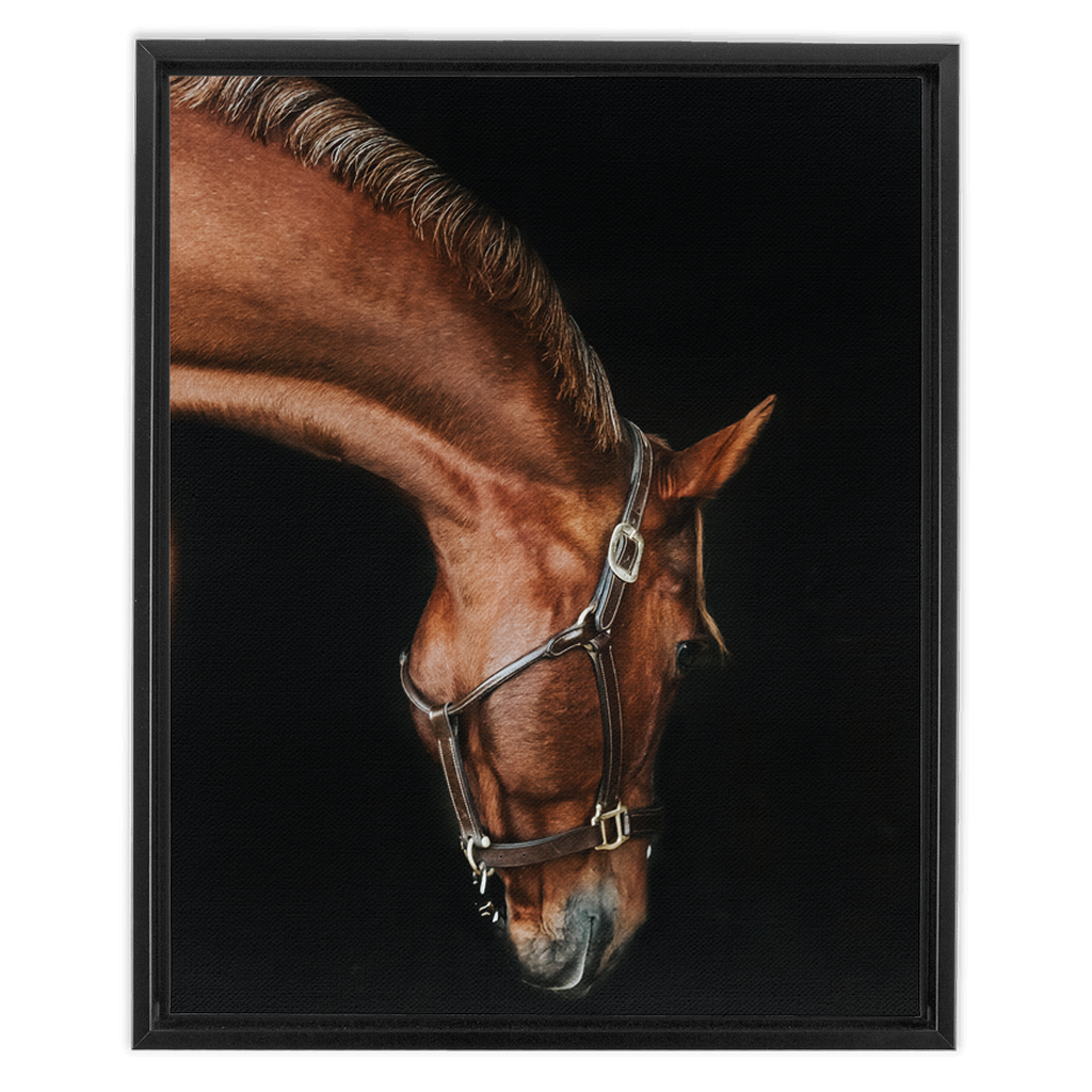 Django Series 6, Framed Canvas