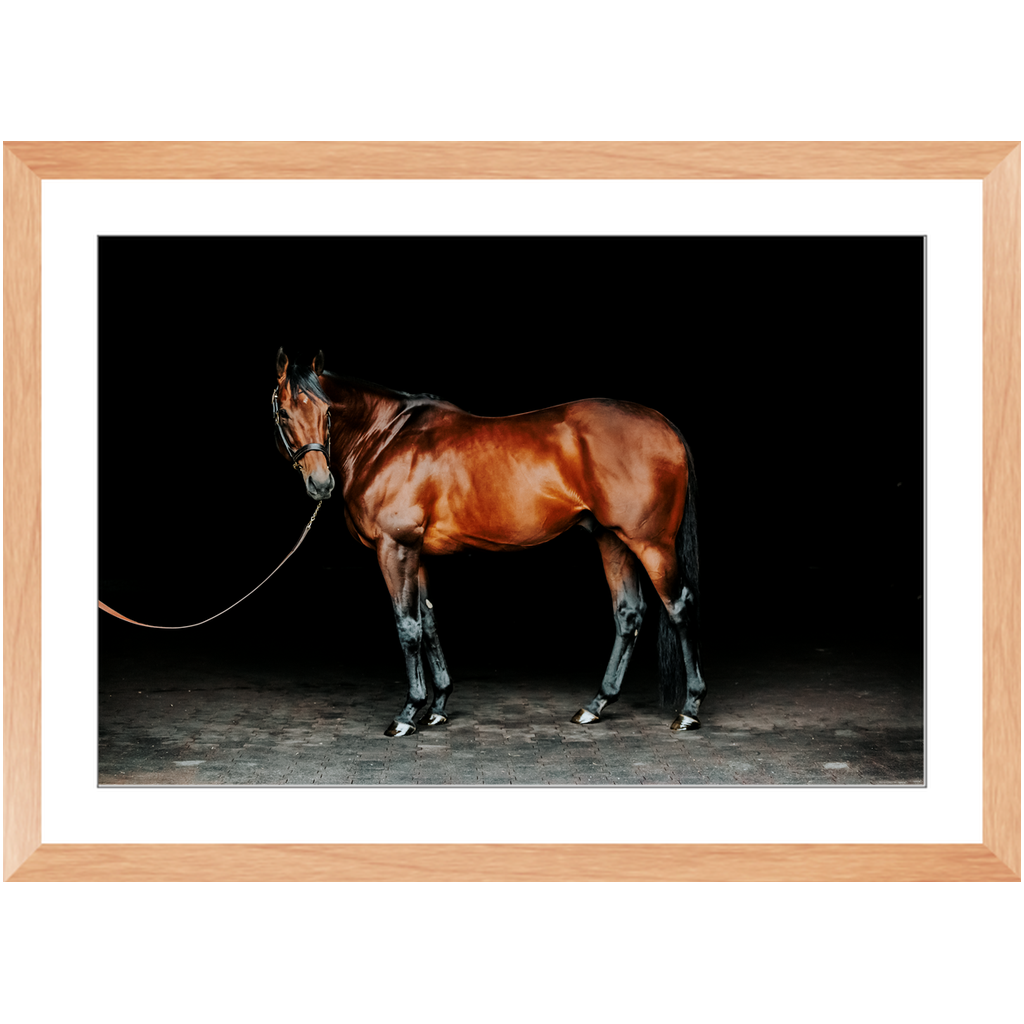 American Pharoah Series 1, Framed Print