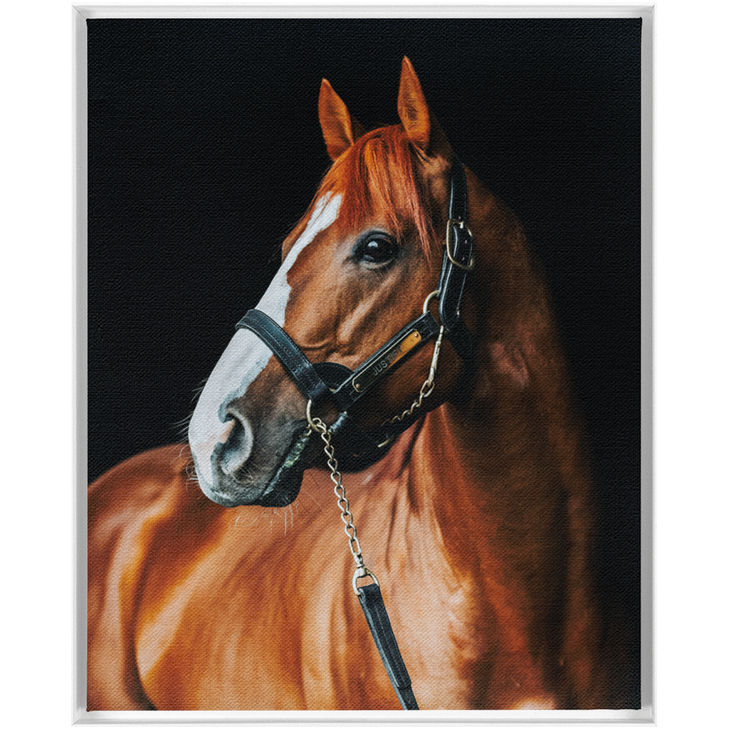 Justify Series 1, Framed Canvas