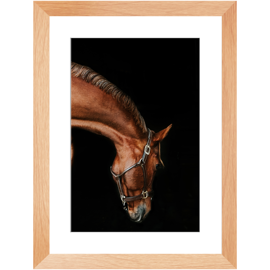 Django Series 6, Framed Print