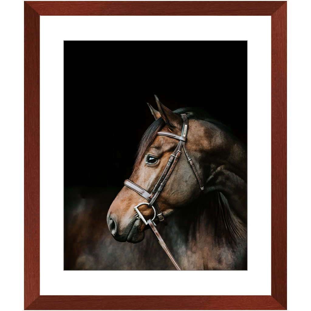 Jovial Series 3, Framed Print