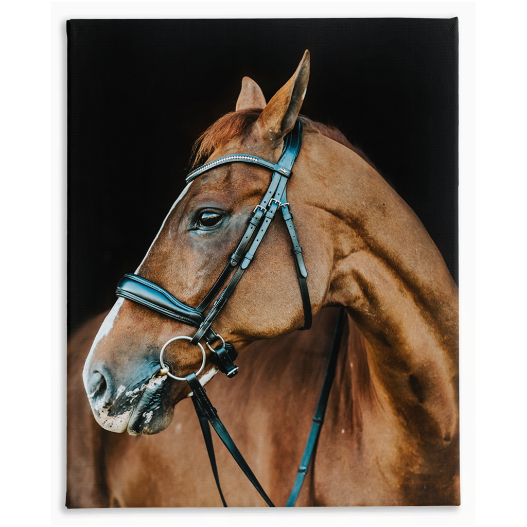 Hudson Series 6, Stretched Canvas