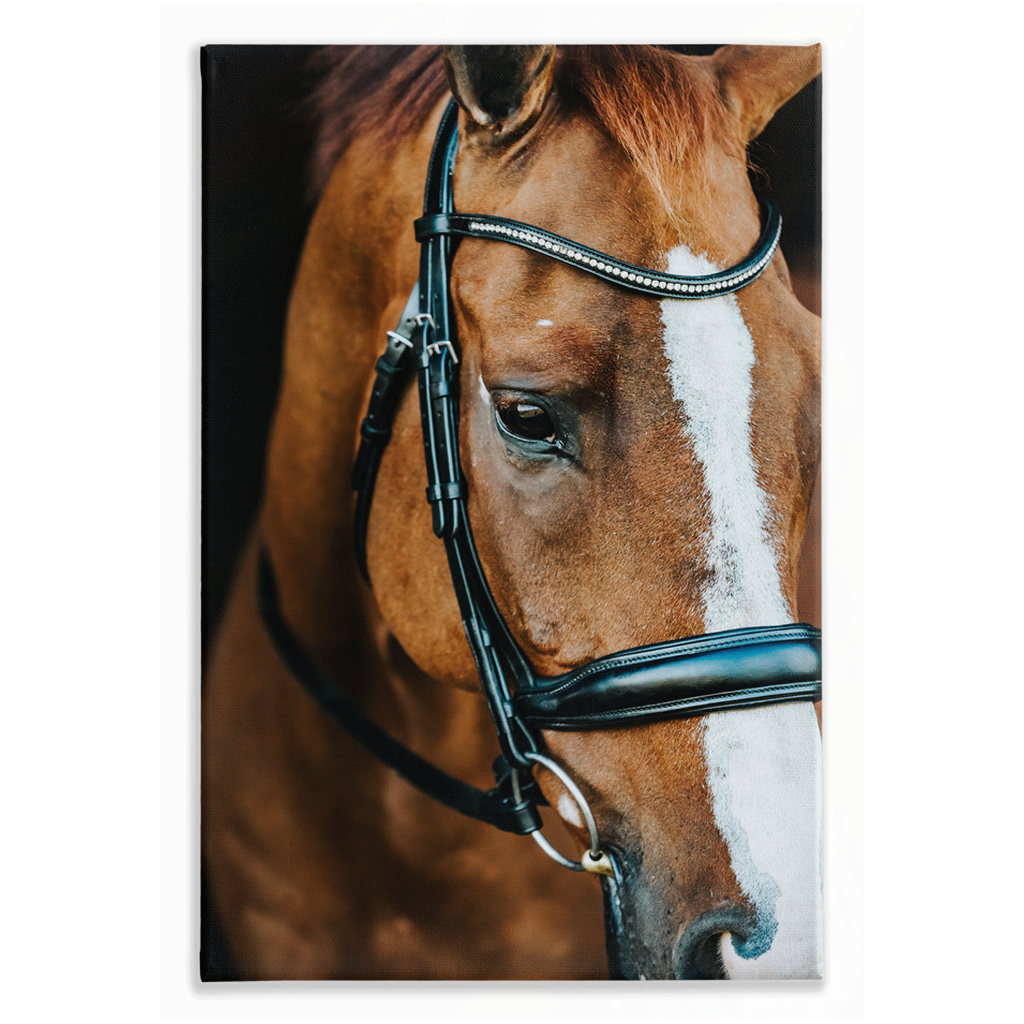 Hudson Series 3, Stretched Canvas