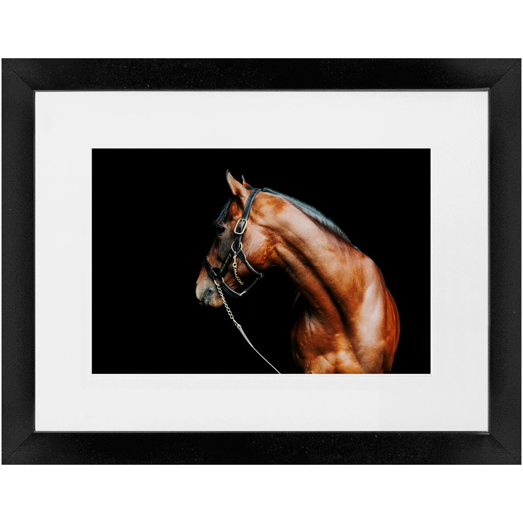 American Pharoah Series 5, Framed Print