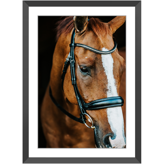 Hudson Series 3, Framed Print