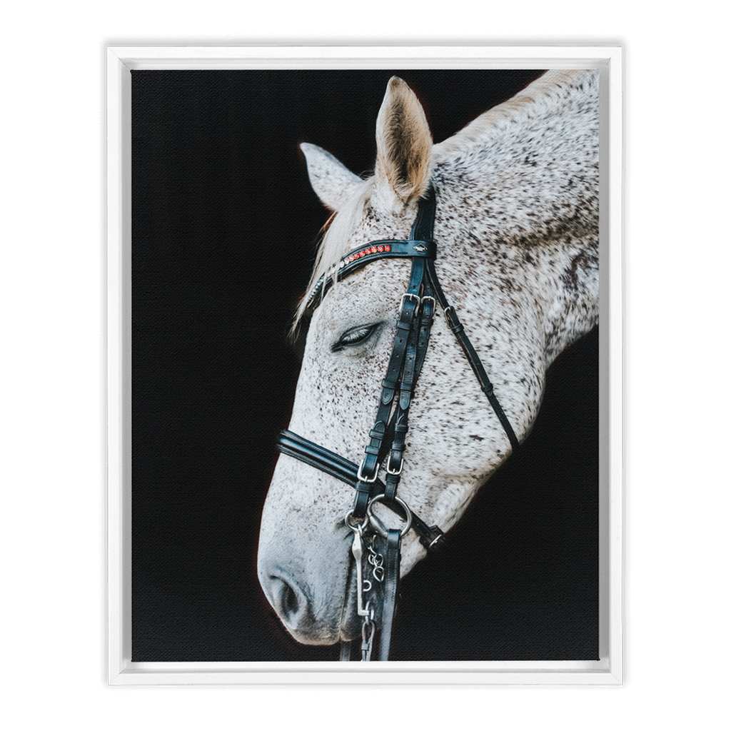 Apollo Series 1, Framed Canvas