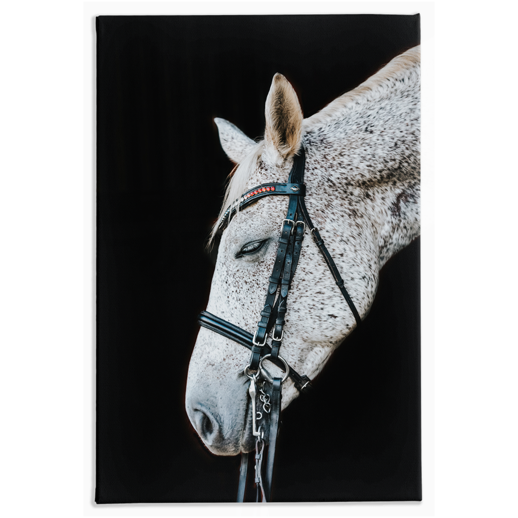 Apollos Series 2, Stretched Canvas