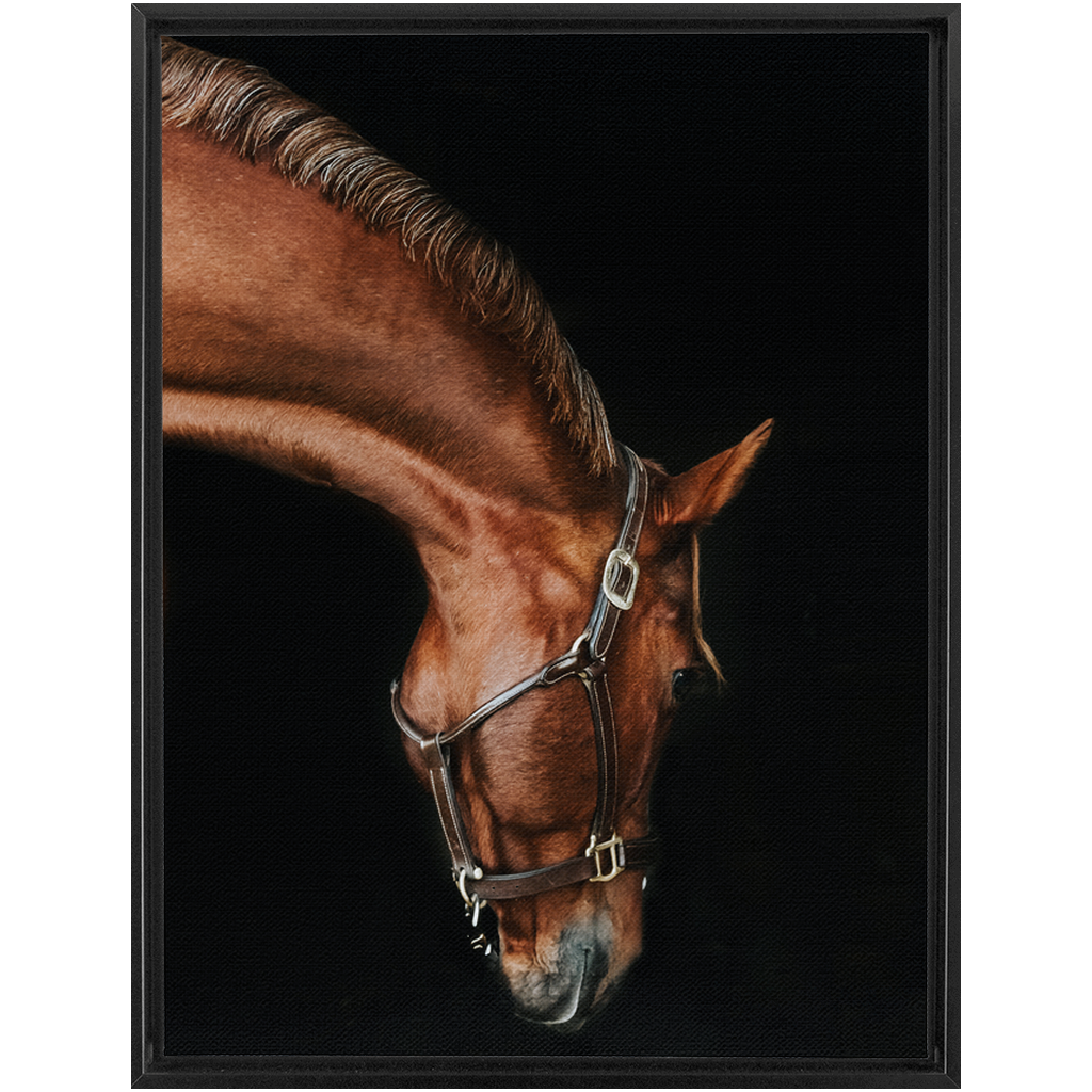 Django Series 6, Framed Canvas