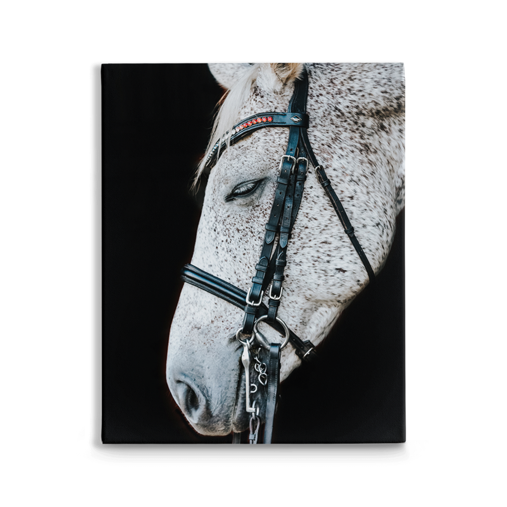 Apollo Series 1, Stretched Canvas