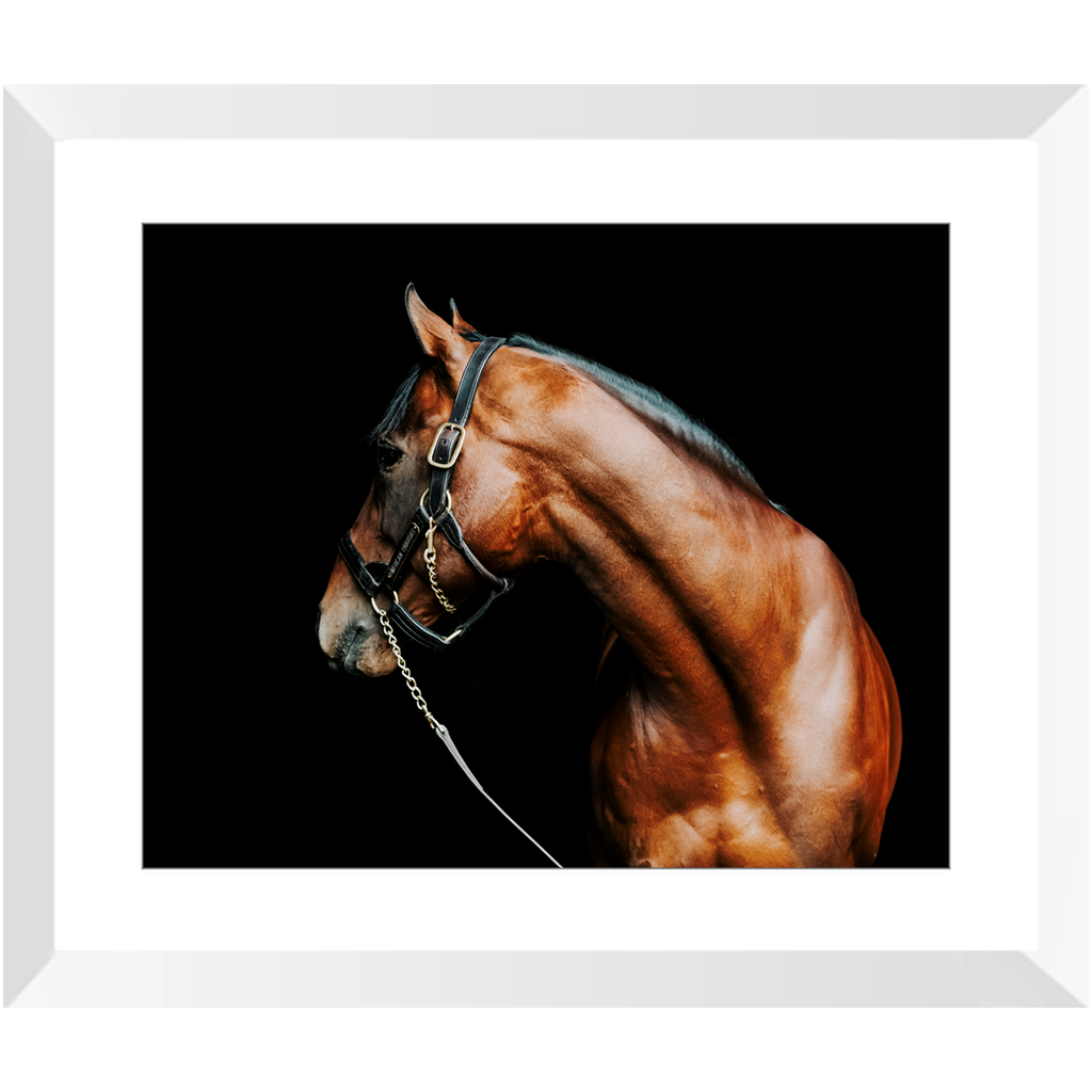 American Pharoah Series 5, Framed Print