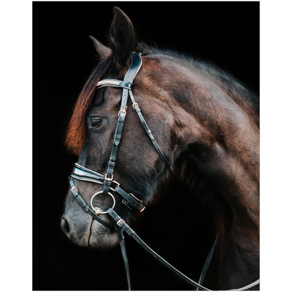 Regal Series 18, Print