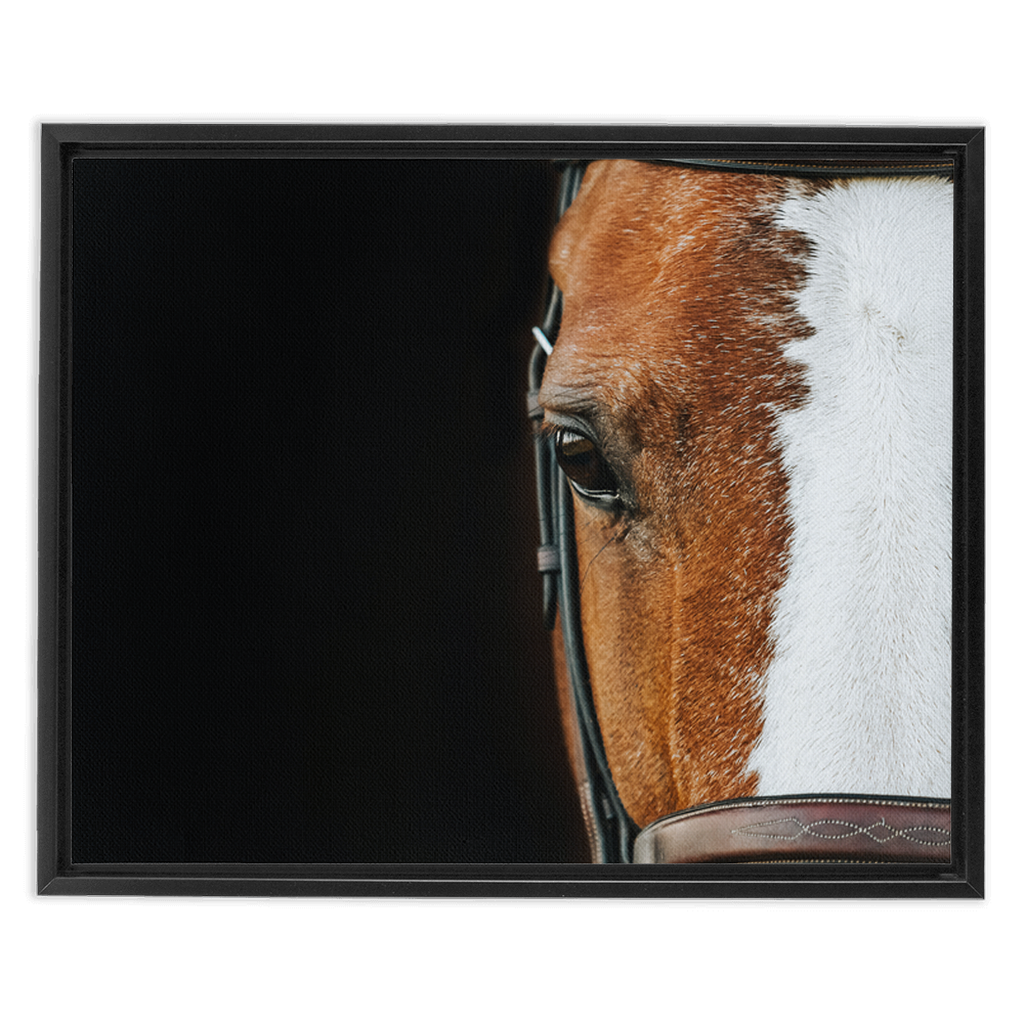 Huntsman Series 5, Framed Canvas