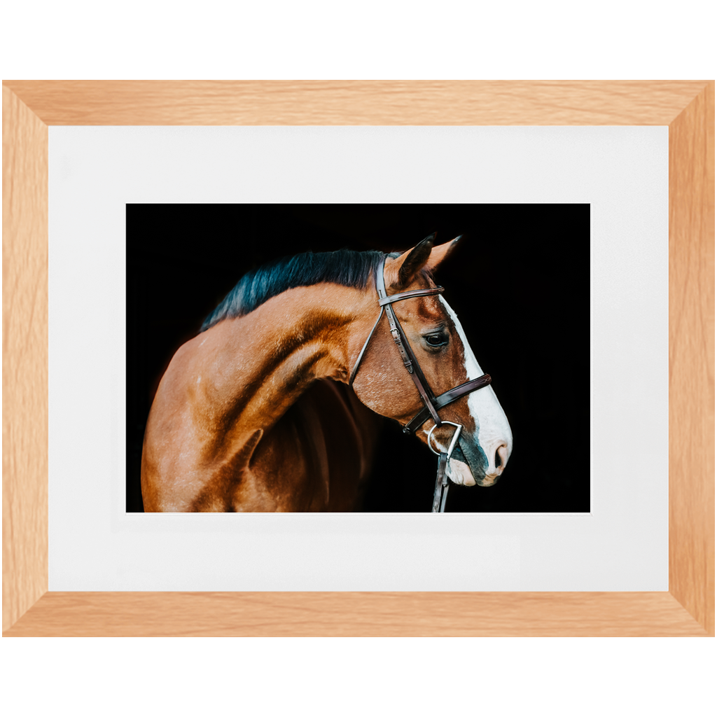 Huntsman Series 3, Framed Print