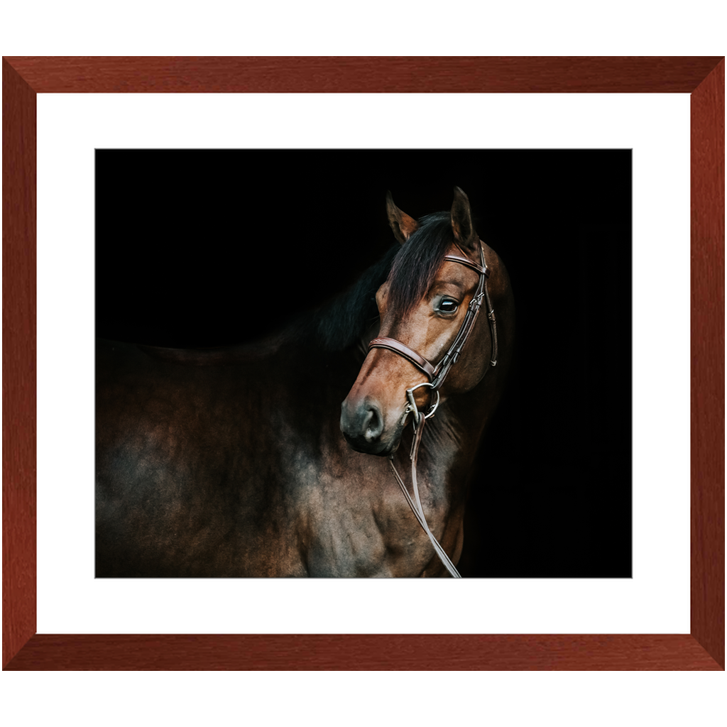 Jovial Series 2, Framed Print