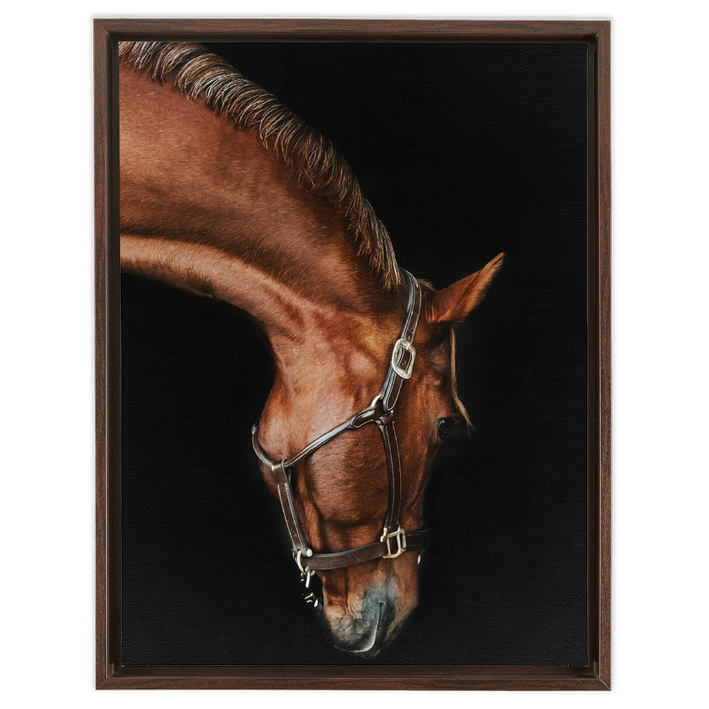 Django Series 6, Framed Canvas