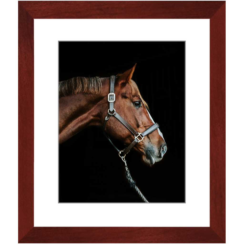 Django Series 3, Framed Print