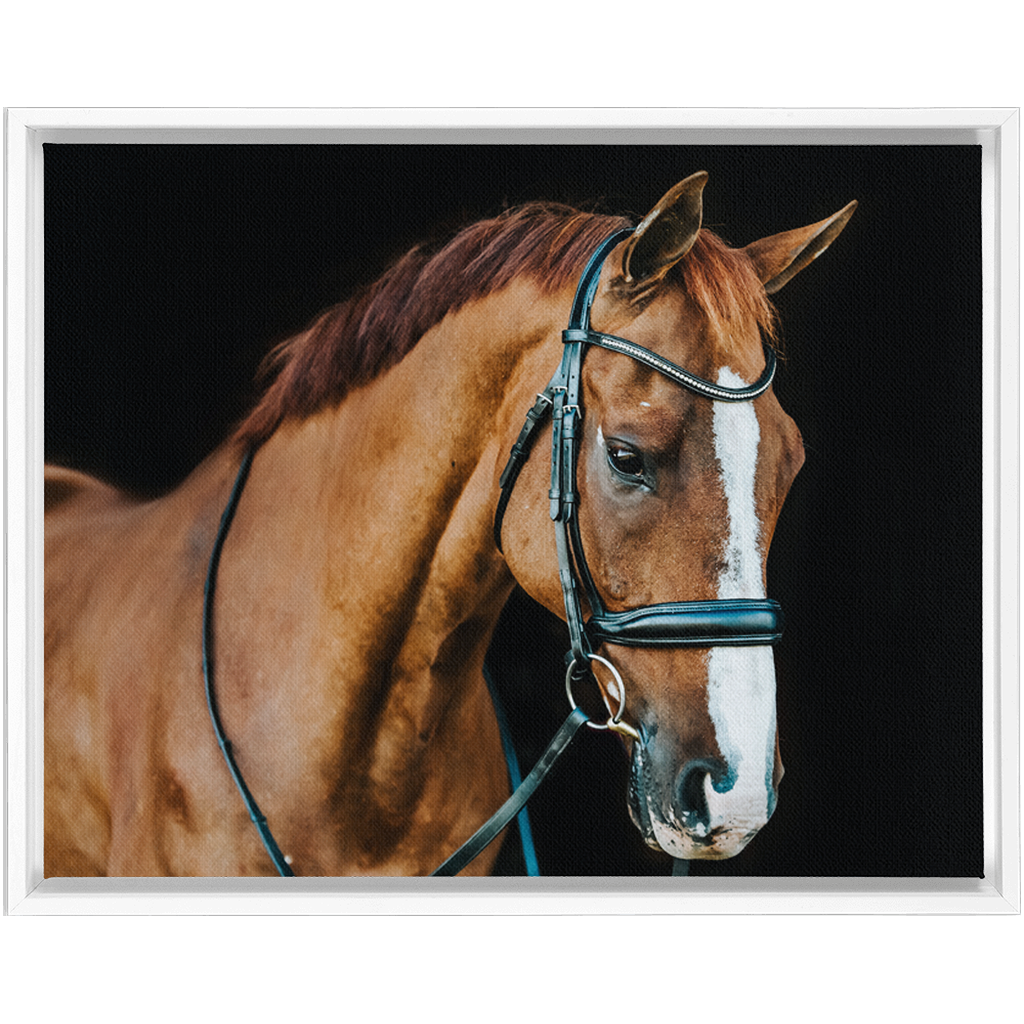 Hudson Series 1, Framed Canvas