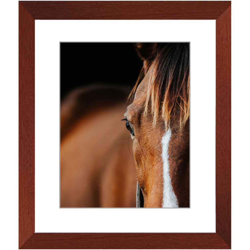 Majestic Series 1, Framed Print