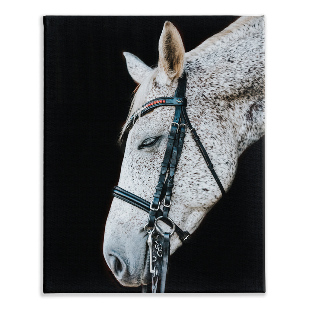 Apollos Series 2, Stretched Canvas
