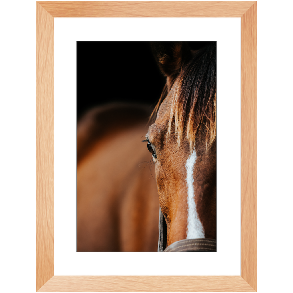 Majestic Series 1, Framed Print
