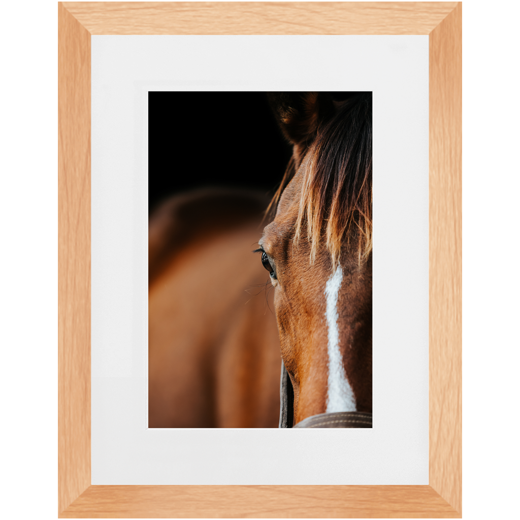 Majestic Series 1, Framed Print