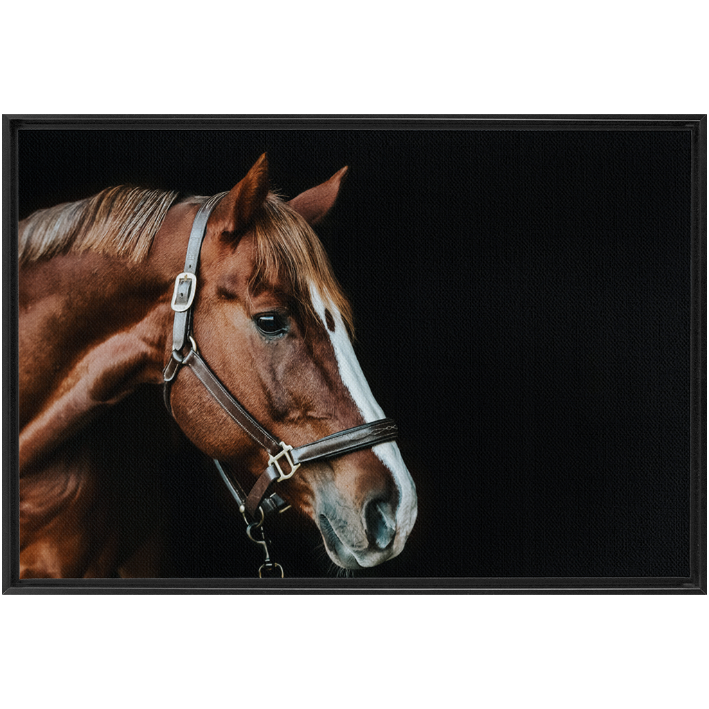 Django Series 5, Framed Canvas