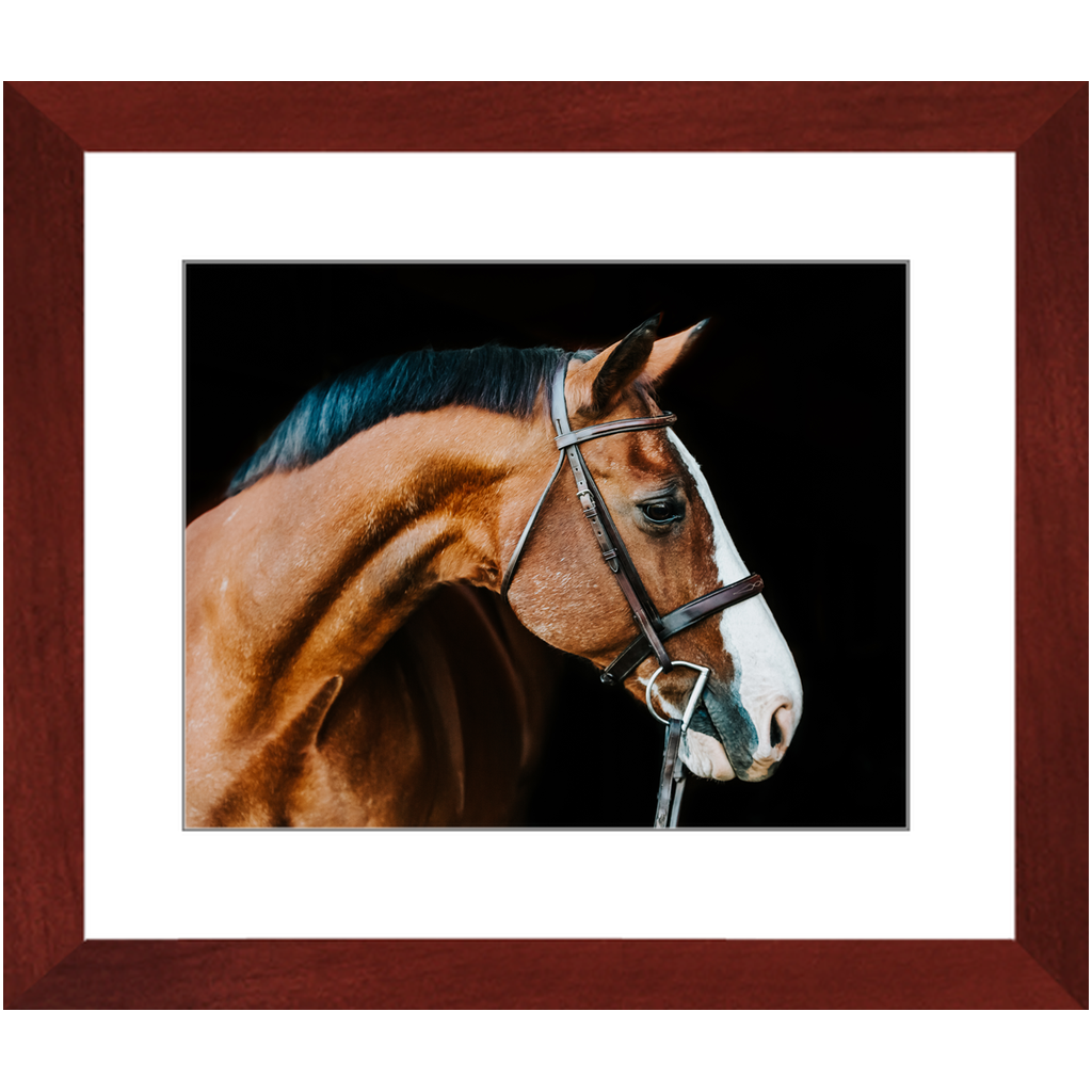 Huntsman Series 3, Framed Print