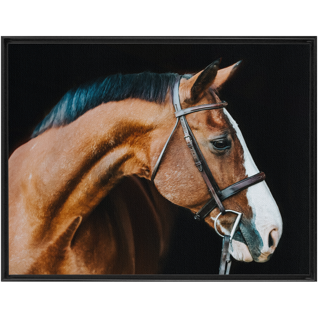 Huntsman Series 3, Framed Canvas
