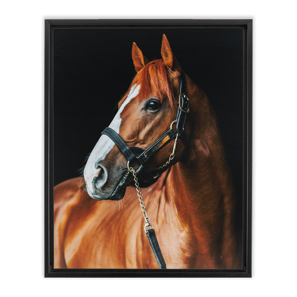 Justify Series 1, Framed Canvas