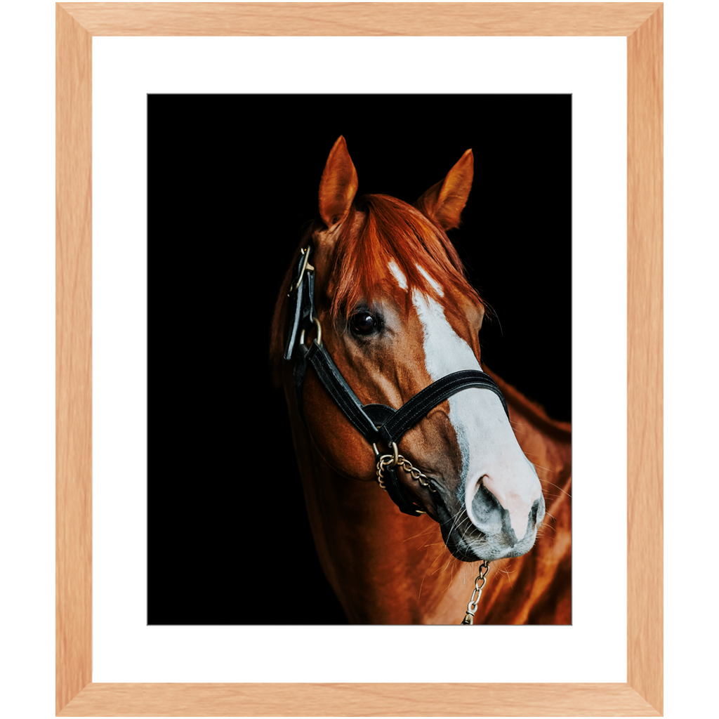 Justify Series 2, Framed Print