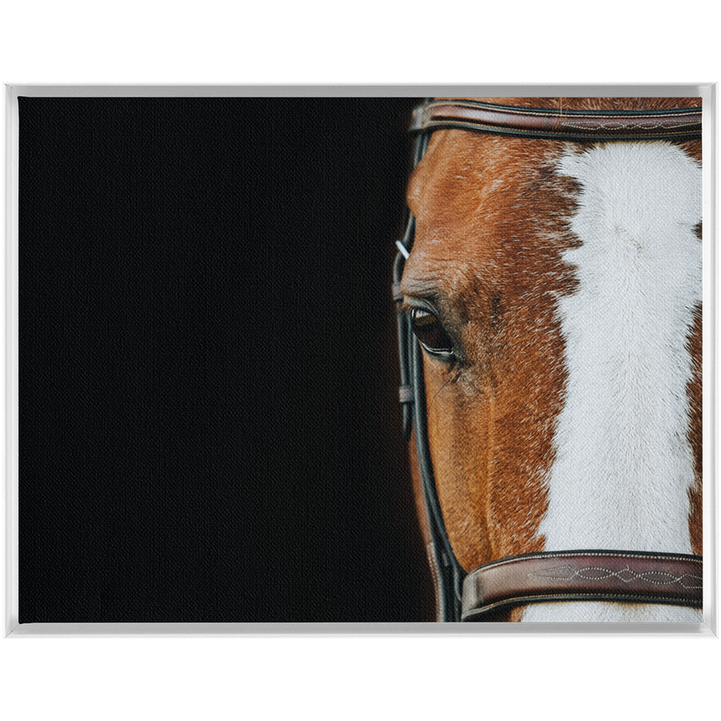 Huntsman Series 5, Framed Canvas