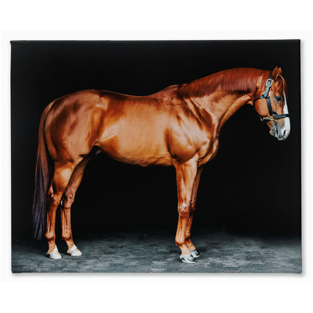 Justify Series 6, Stretched Canvas