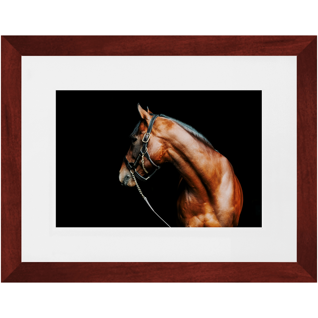 American Pharoah Series 5, Framed Print