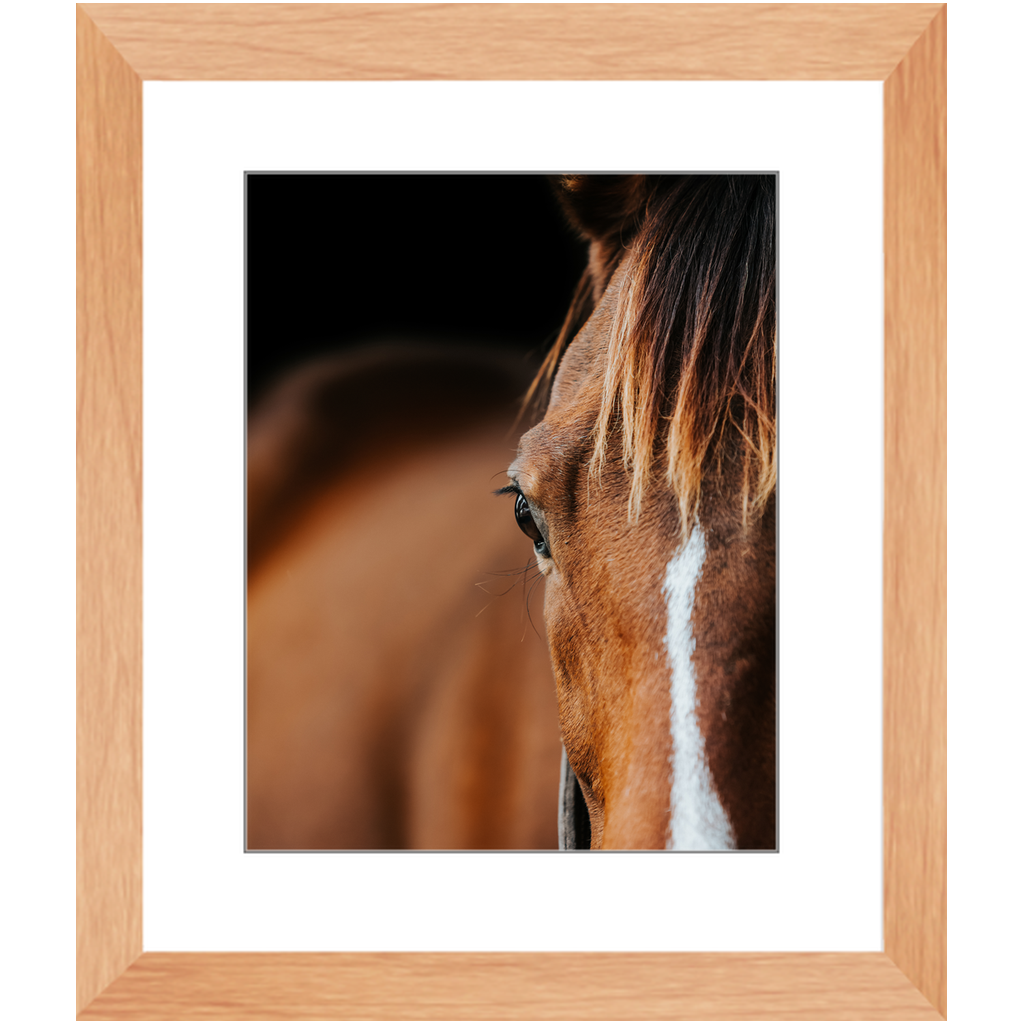 Majestic Series 1, Framed Print