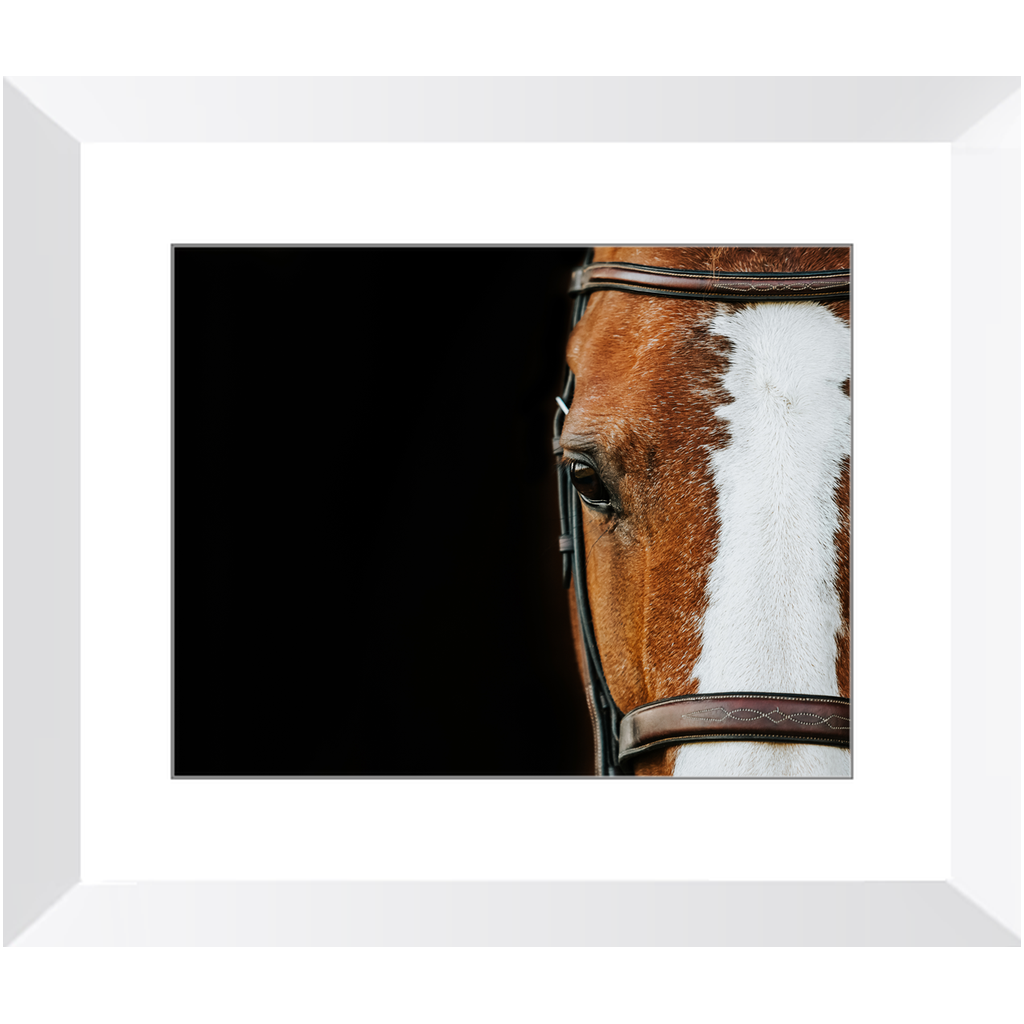 Huntsman Series 5, Framed Print