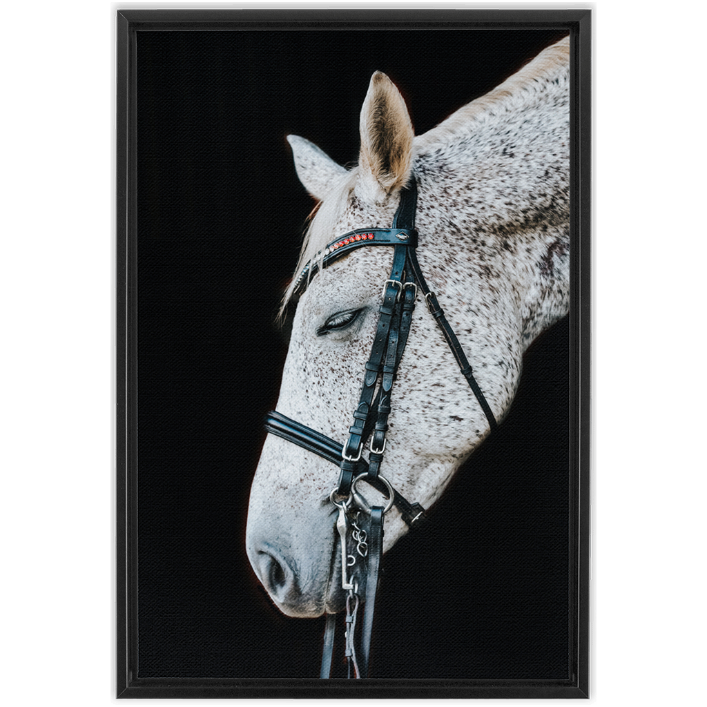 Apollo Series 1, Framed Canvas