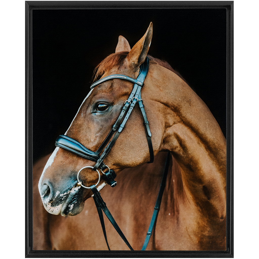 Hudson Series 6, Framed Canvas