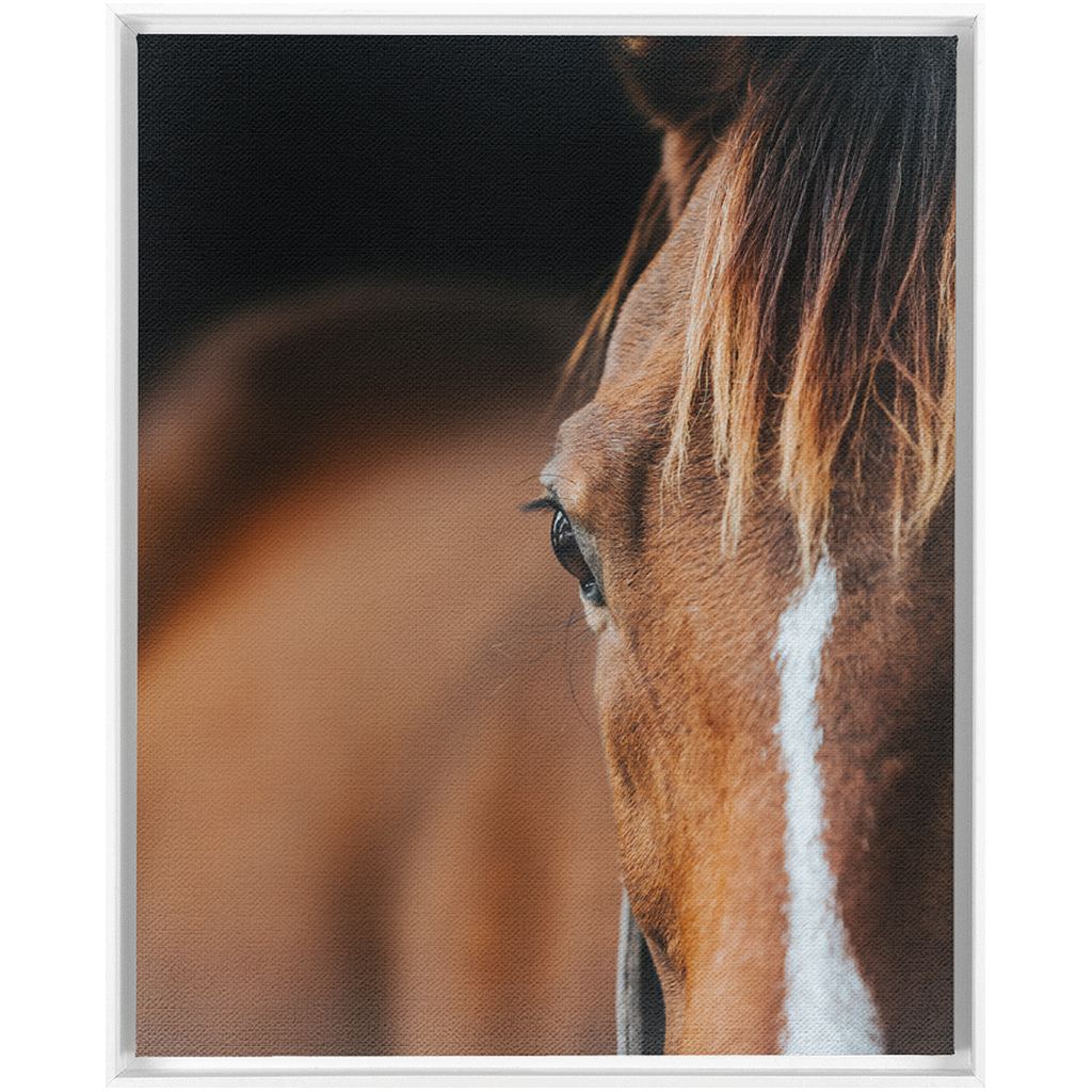 Majestic 1, Framed Canvas