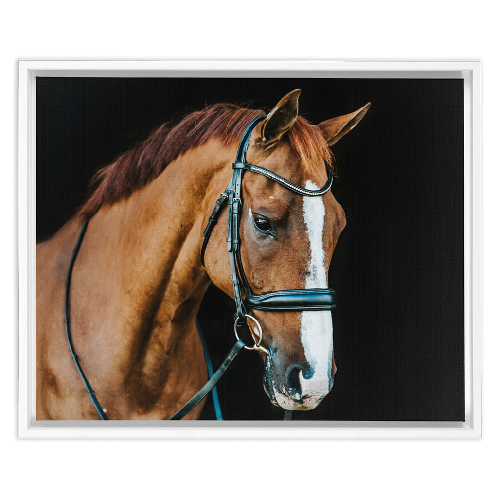 Hudson Series 1, Framed Canvas