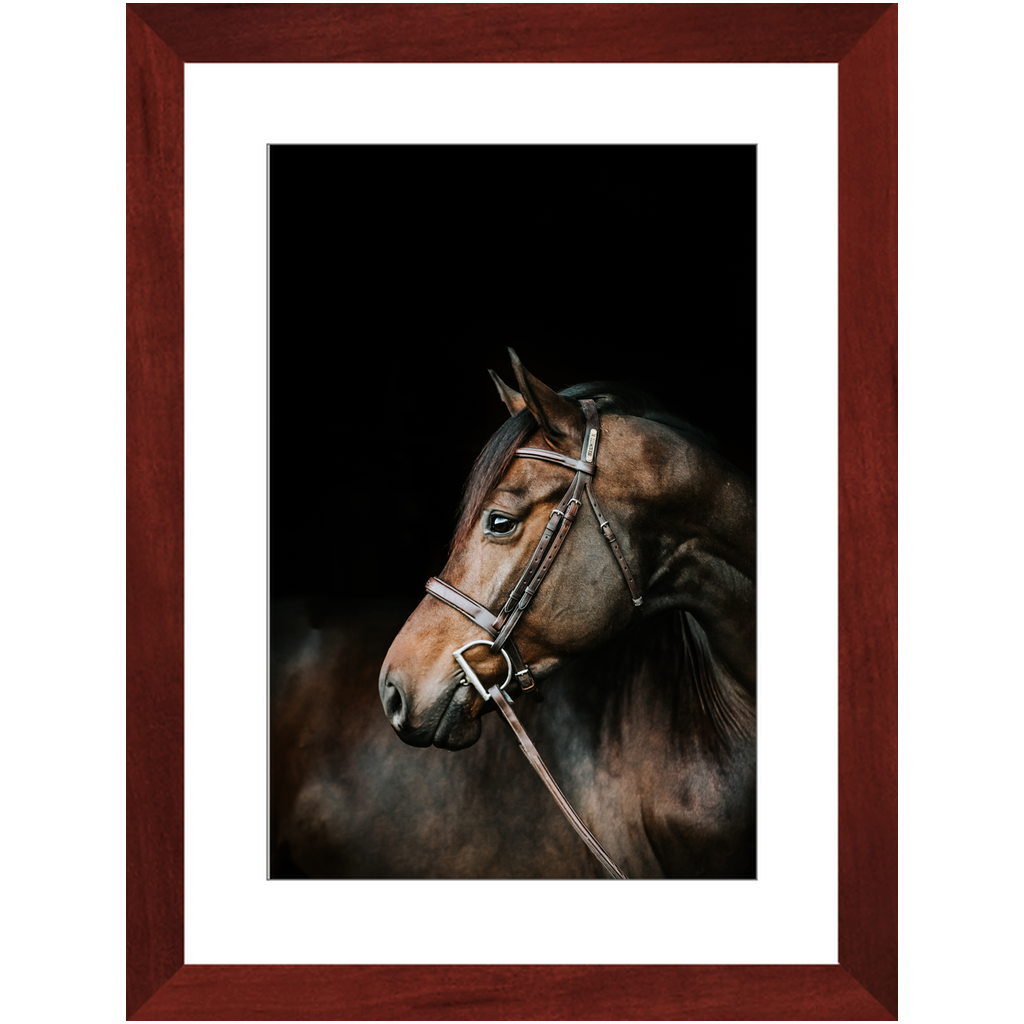 Jovial Series 3, Framed Print