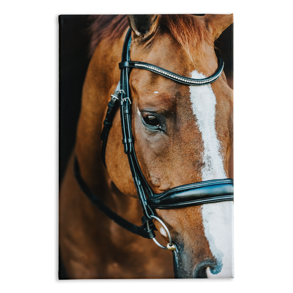 Hudson Series 3, Stretched Canvas