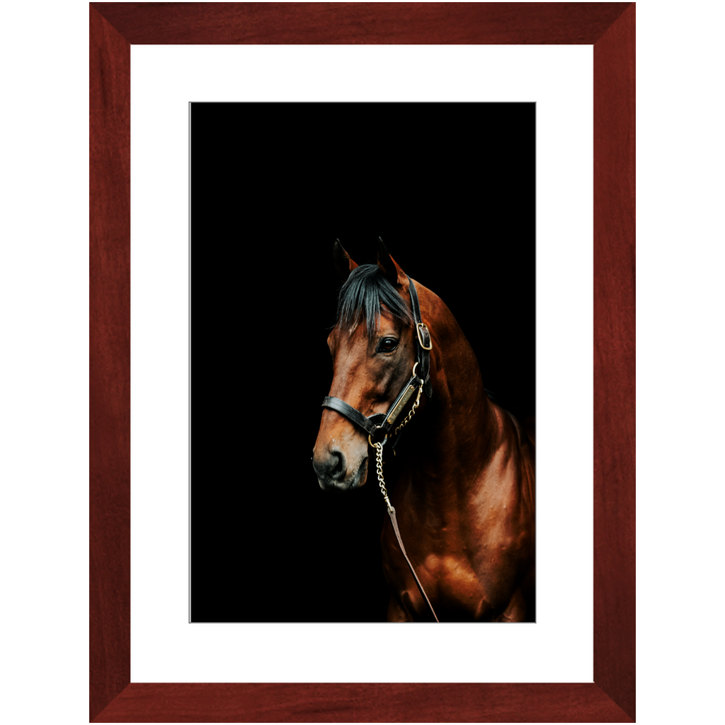 American Pharoah Series 2, Framed Prints