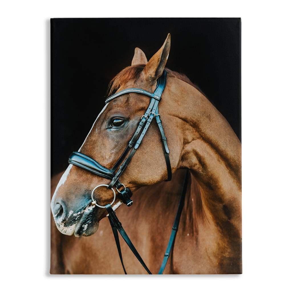 Hudson Series 6, Stretched Canvas
