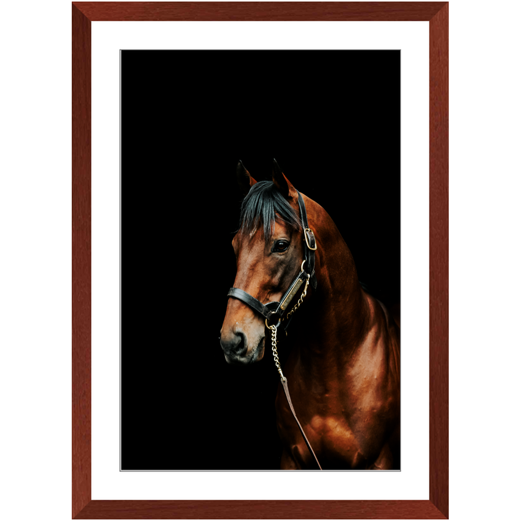American Pharoah Series 2, Framed Prints