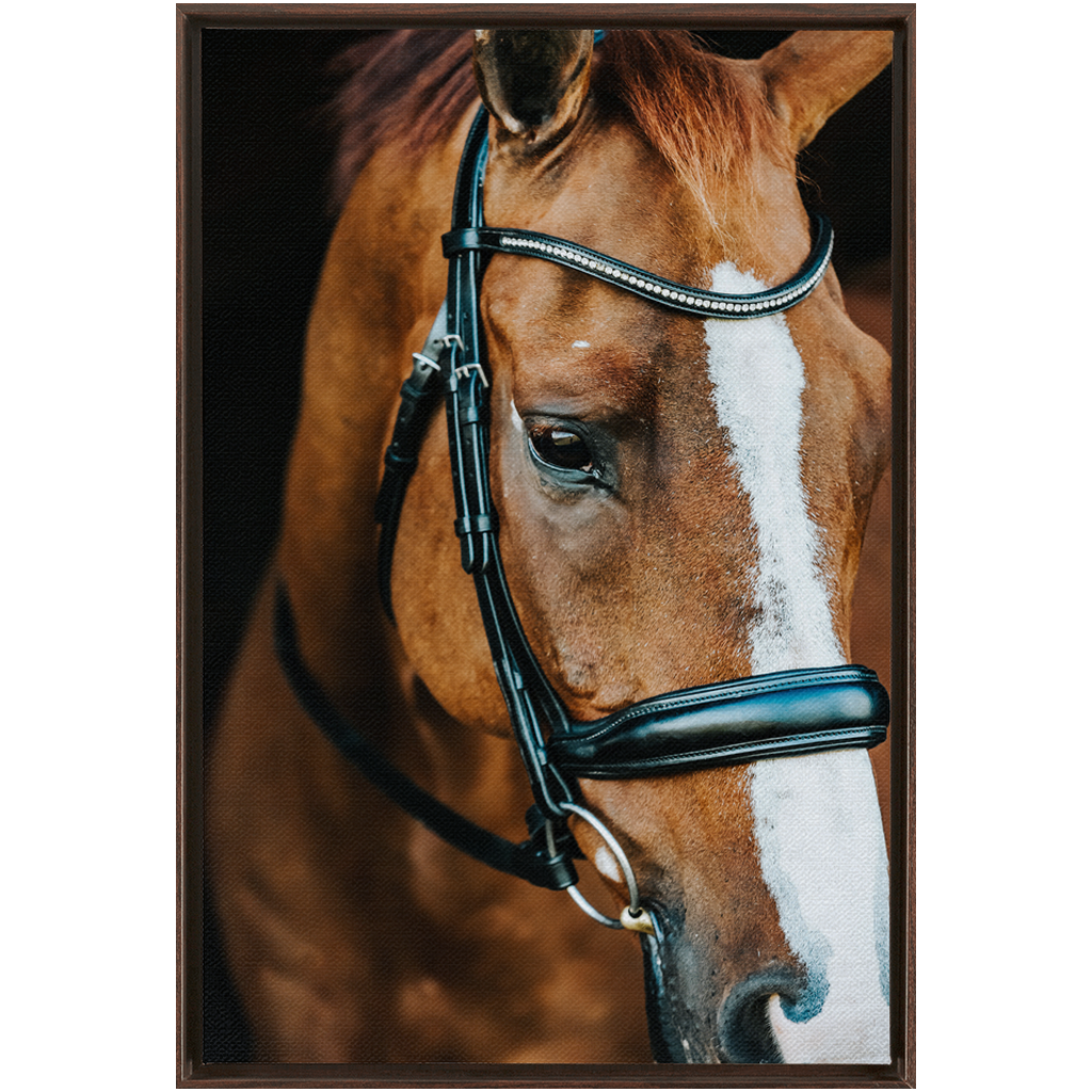 Hudson Series 3, Framed Canvas